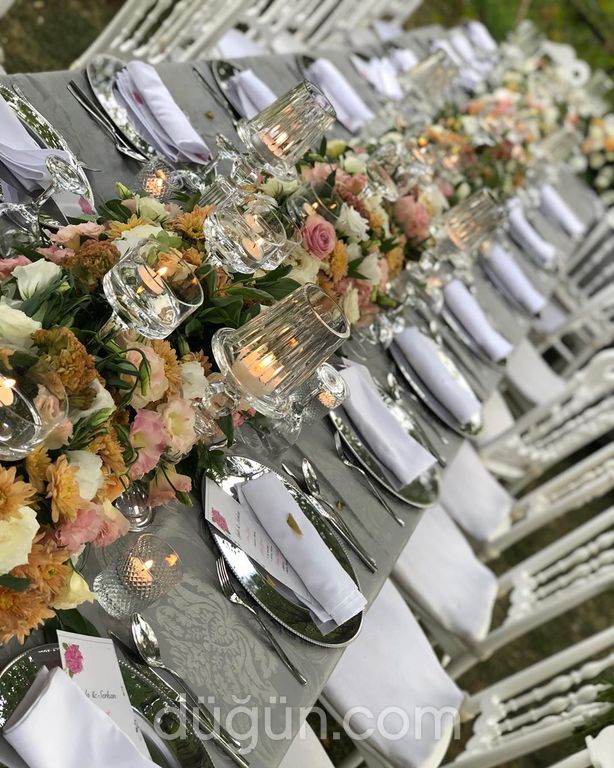 Diyarbakır Organizasyon