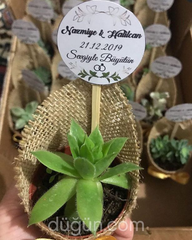 Denizli Organizasyoncum