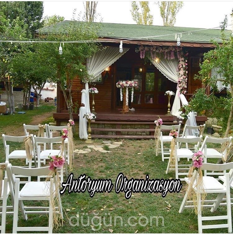 Antoryum Organizasyon