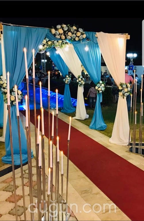 Antoryum Organizasyon