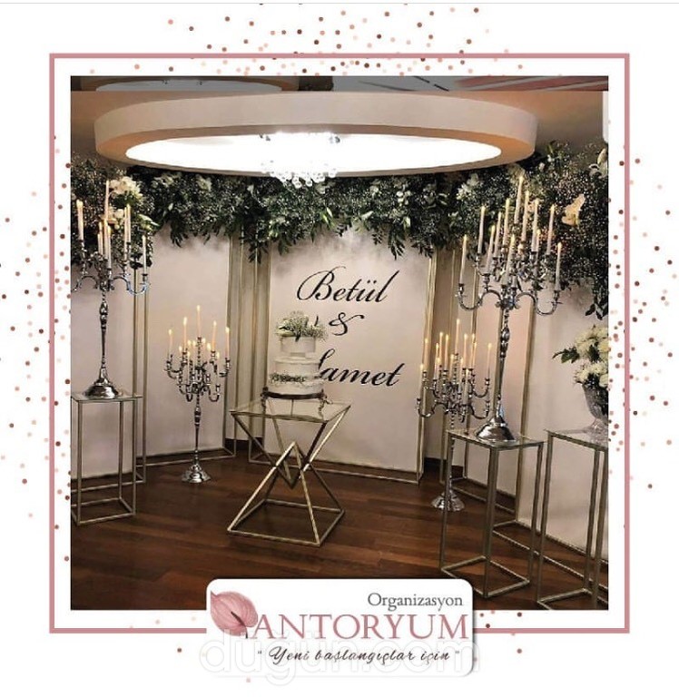 Antoryum Organizasyon