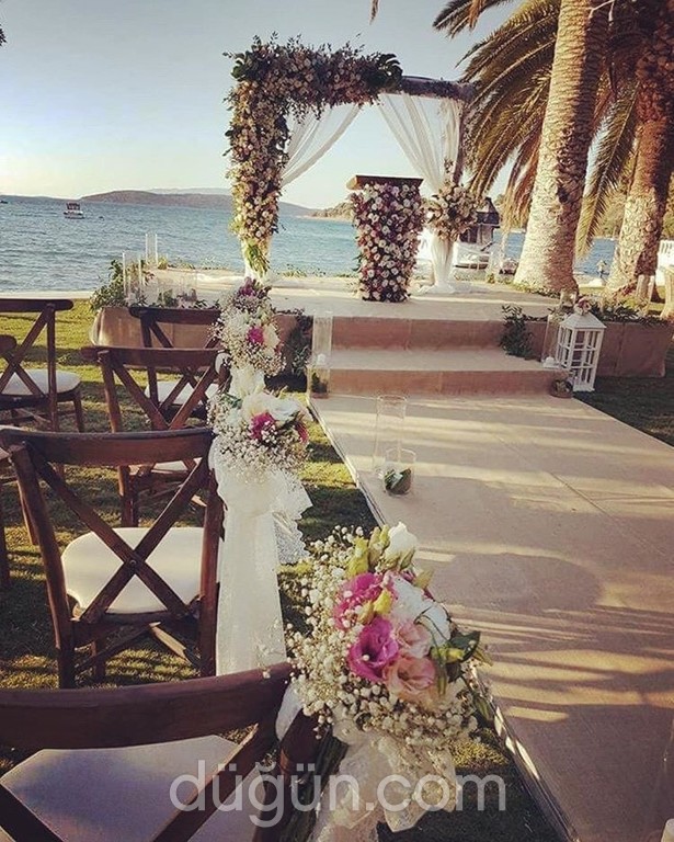 Antoryum Organizasyon