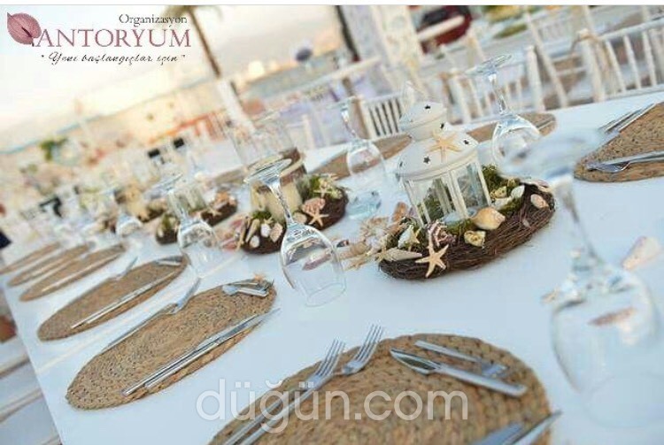 Antoryum Organizasyon