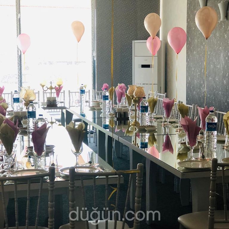 Miss JanJan Parti Evi