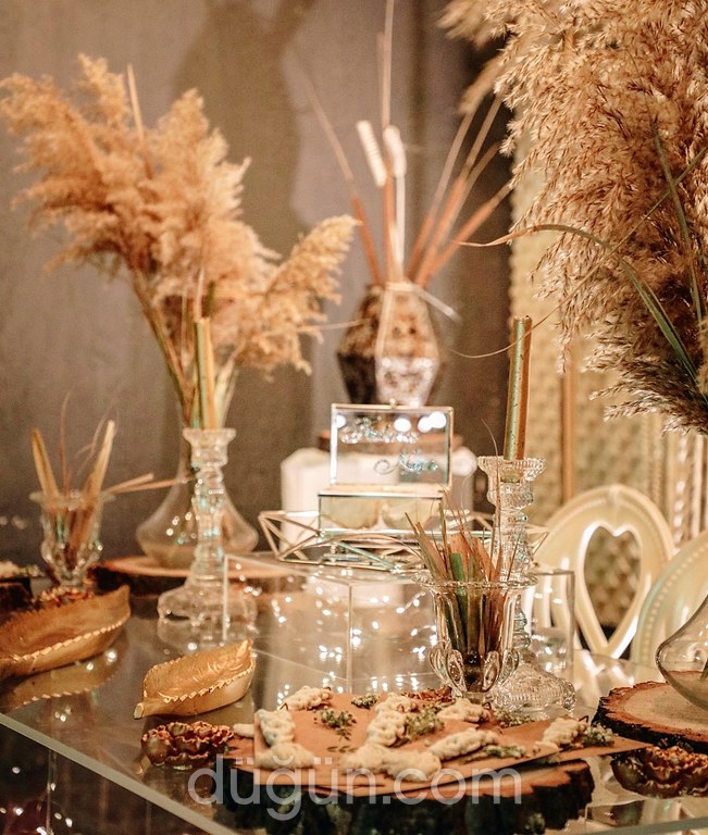 Belya Concept Organizasyon