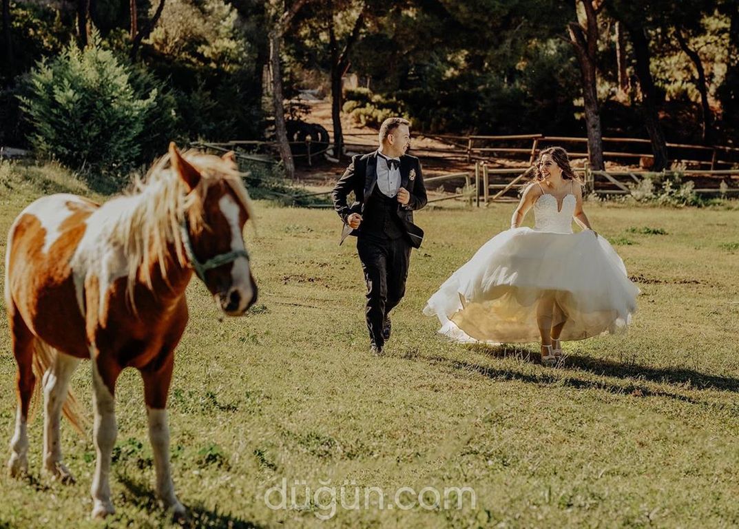 Murat An Wedding