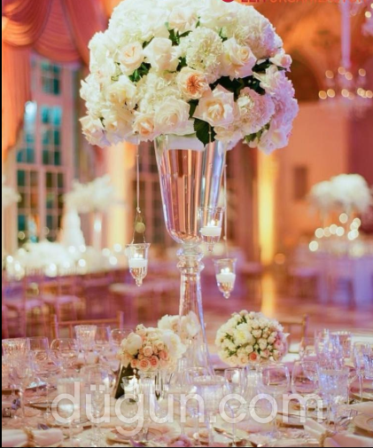 İzmir Elit Organizasyon