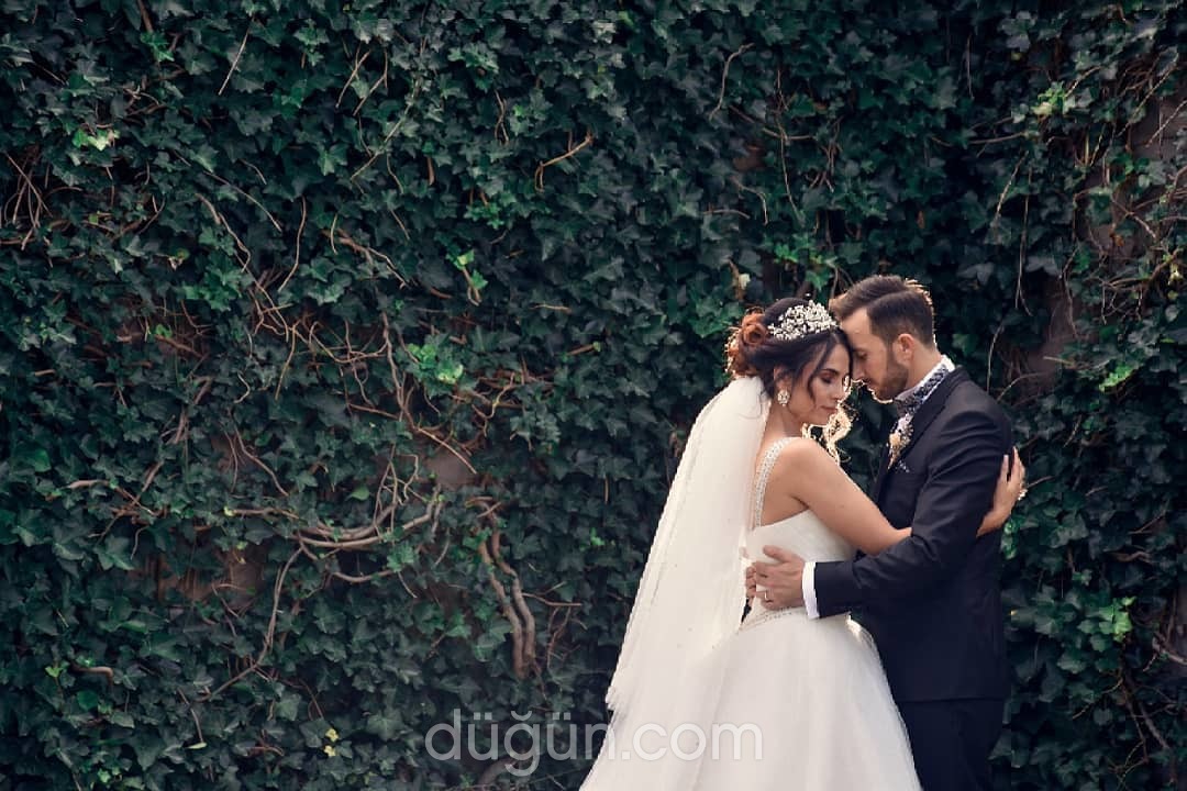 Kaveh Vahed Photography