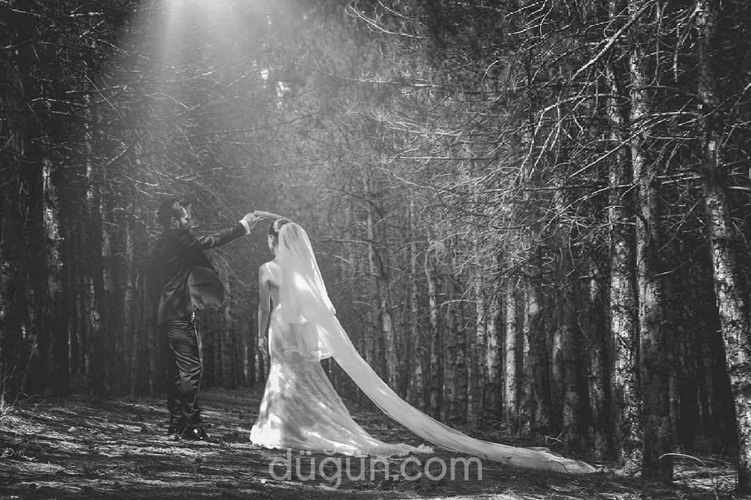 Kaveh Vahed Photography