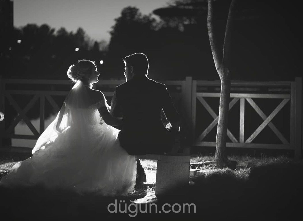 Kaveh Vahed Photography