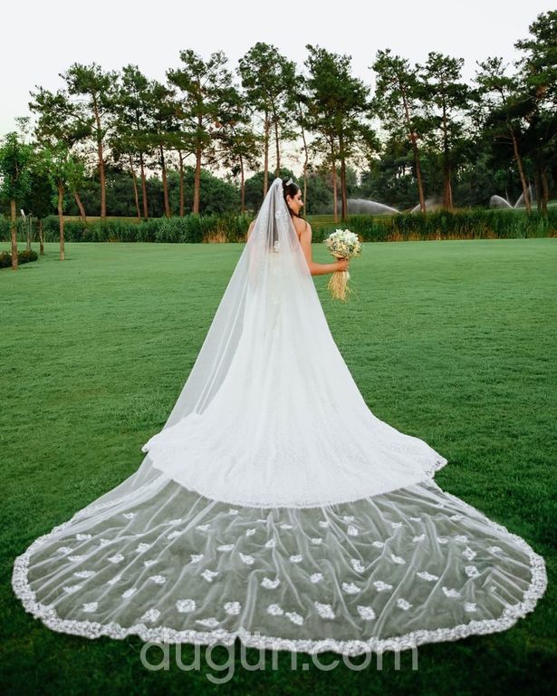 Joy Fotoğrafçılık