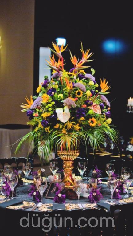 Funda Bozkurt Organizasyon