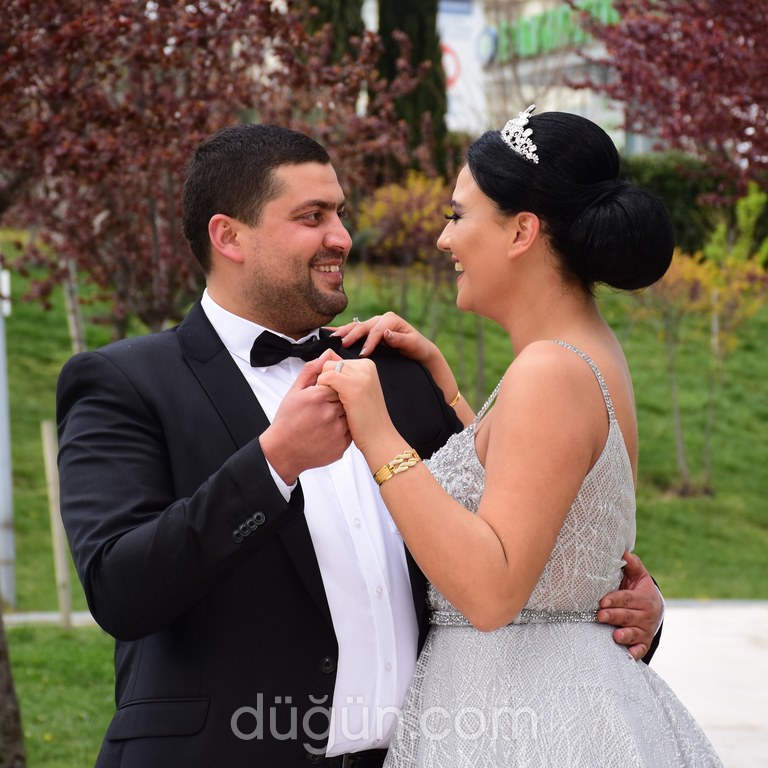 Seyr-i Alem Organizasyon