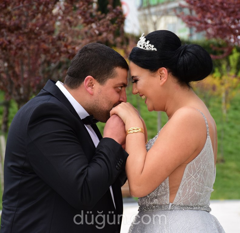 Seyr-i Alem Organizasyon