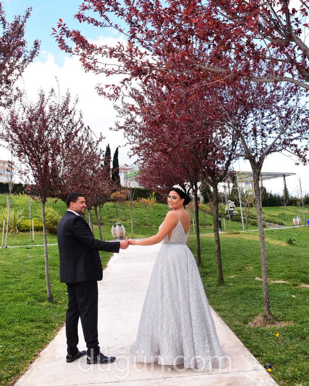 Seyr-i Alem Organizasyon