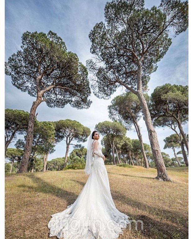 Ay Medya Fotoğrafçılık