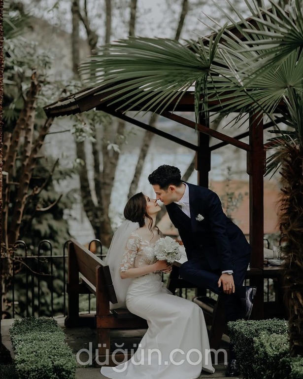 Lacivert Fotoğrafçılık