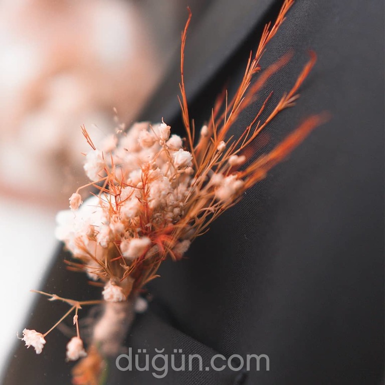 Between Colors Films