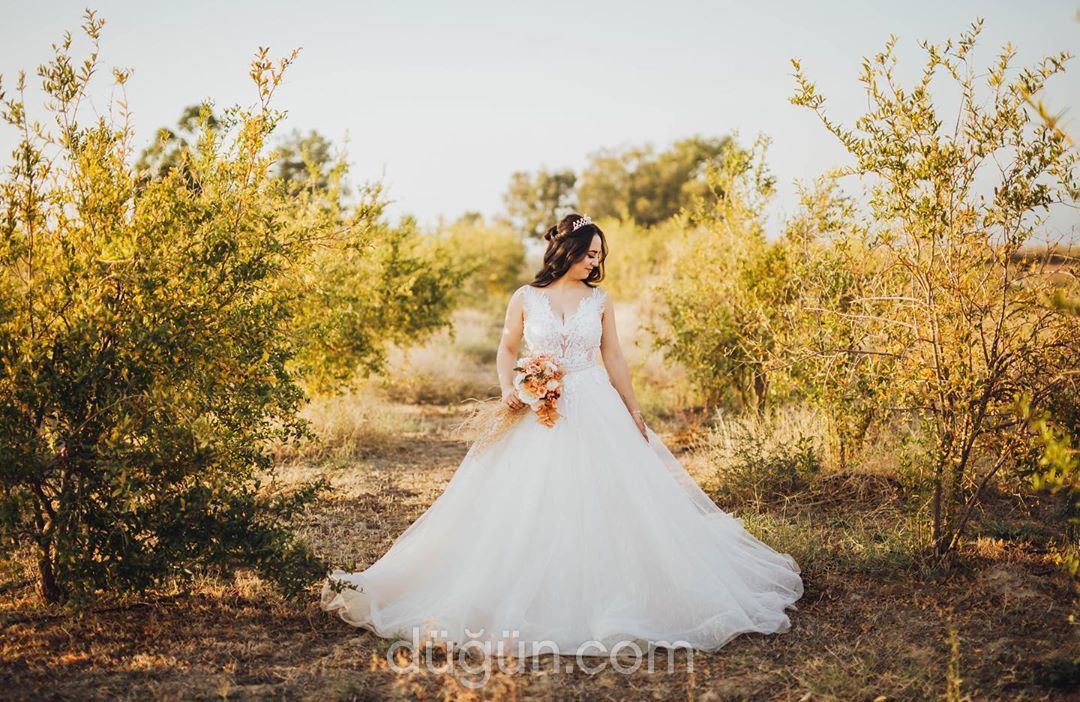 Gül Fotoğrafçılık
