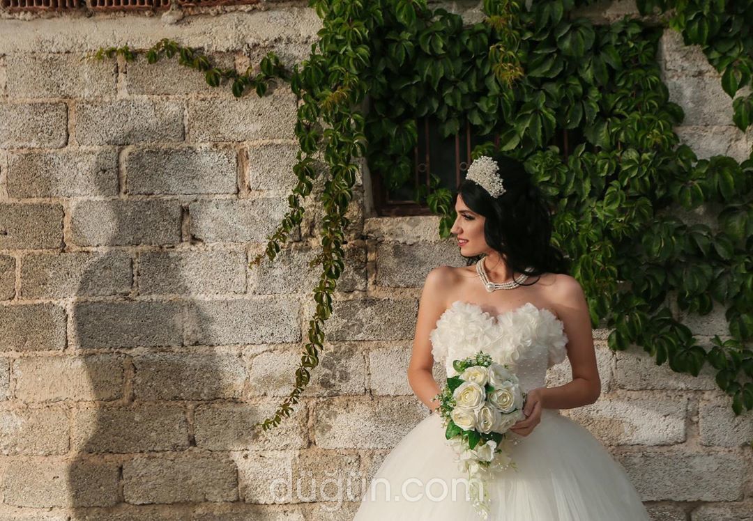 Sina Fotoğrafçılık