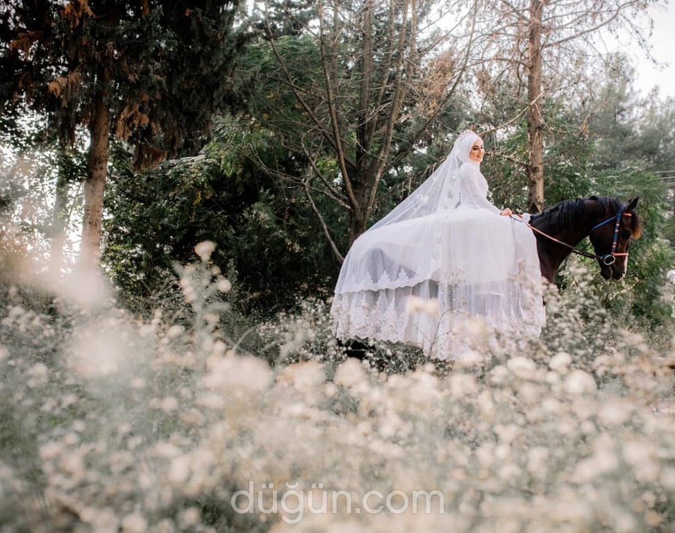 Fazilet Türk Photography