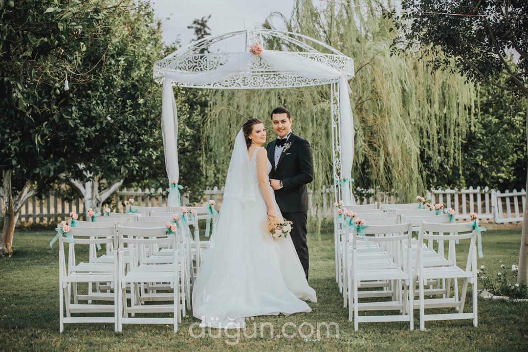 Alev Fotoğrafçılık