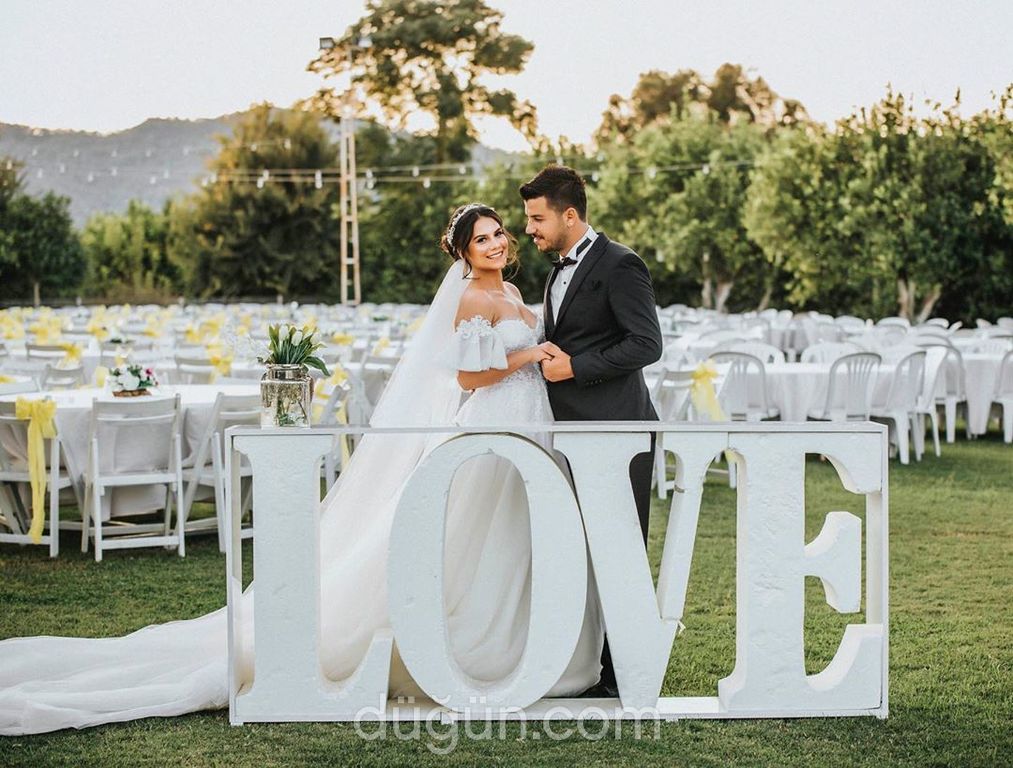 Alev Fotoğrafçılık