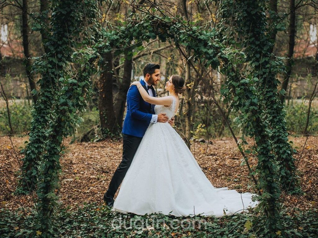 Alev Fotoğrafçılık