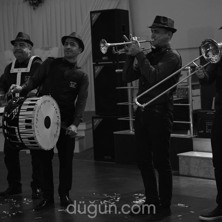 Nota Band Organizasyon