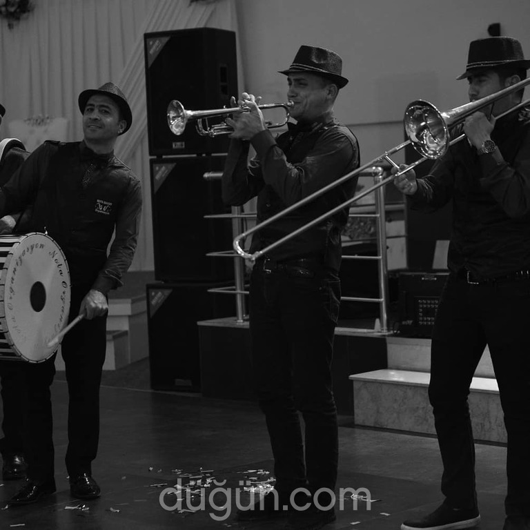 Nota Band Organizasyon