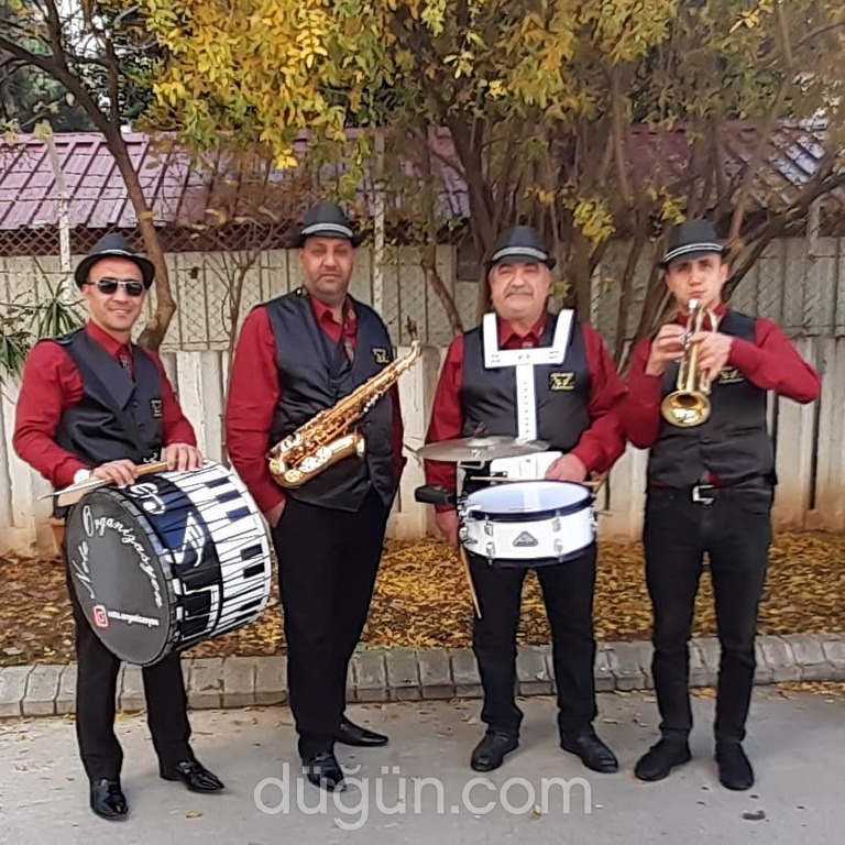 Nota Band Organizasyon