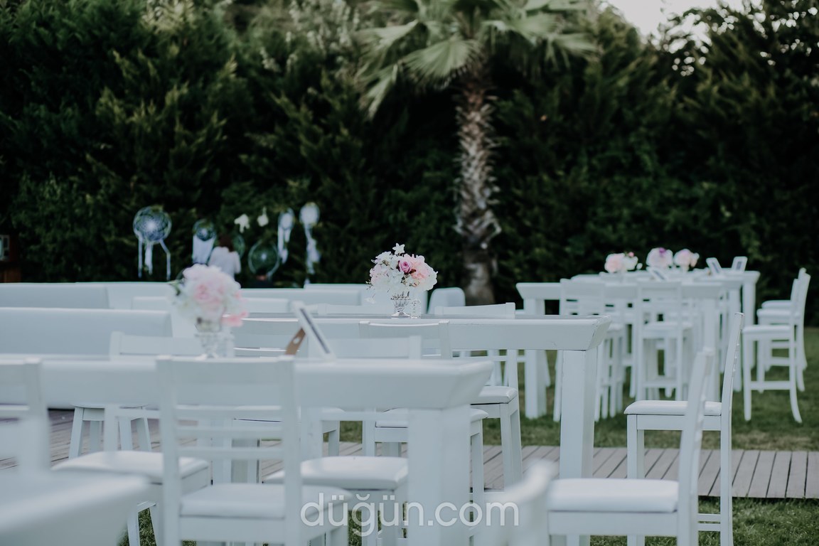 Umudun Karesi Photography