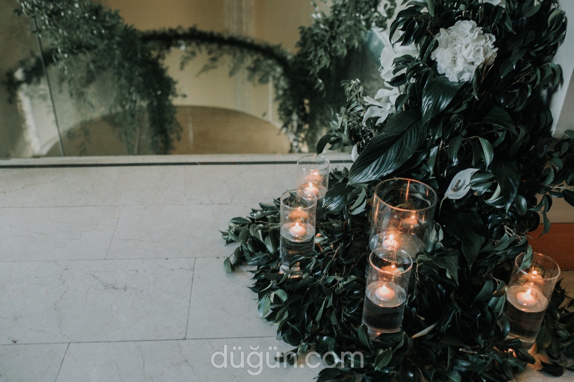 Tulip's Floral Desing & Organisation