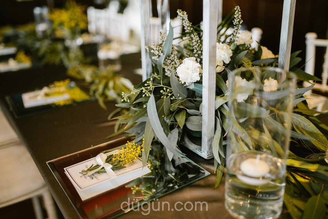 Tulip's Floral Desing & Organisation