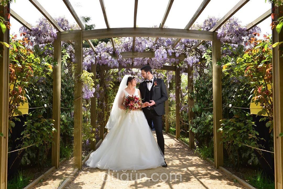 Black Art Fotoğrafçılık