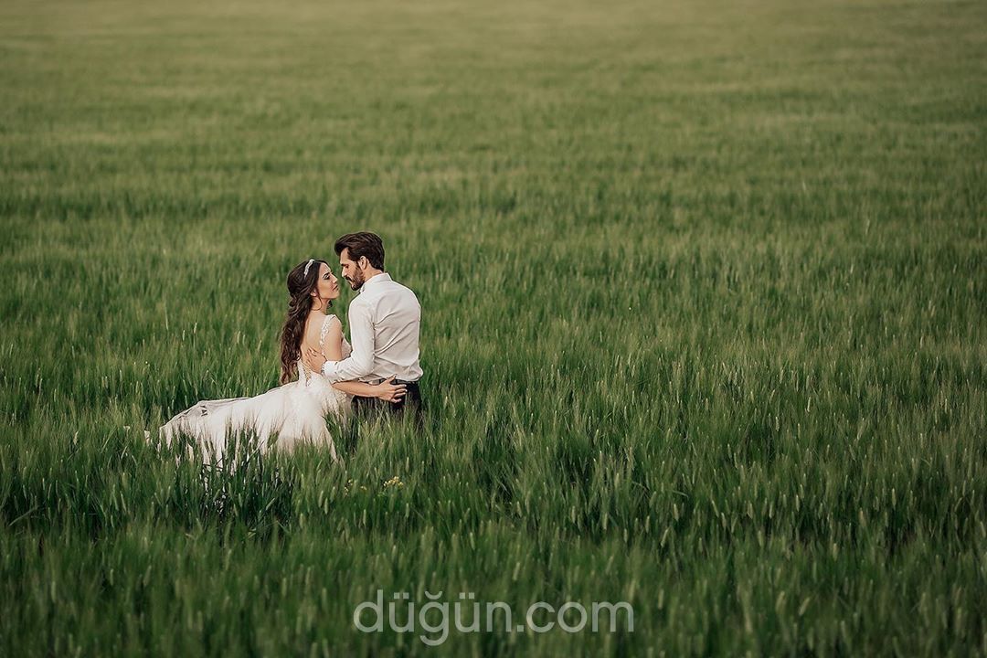 Gold Fotoğrafçılık