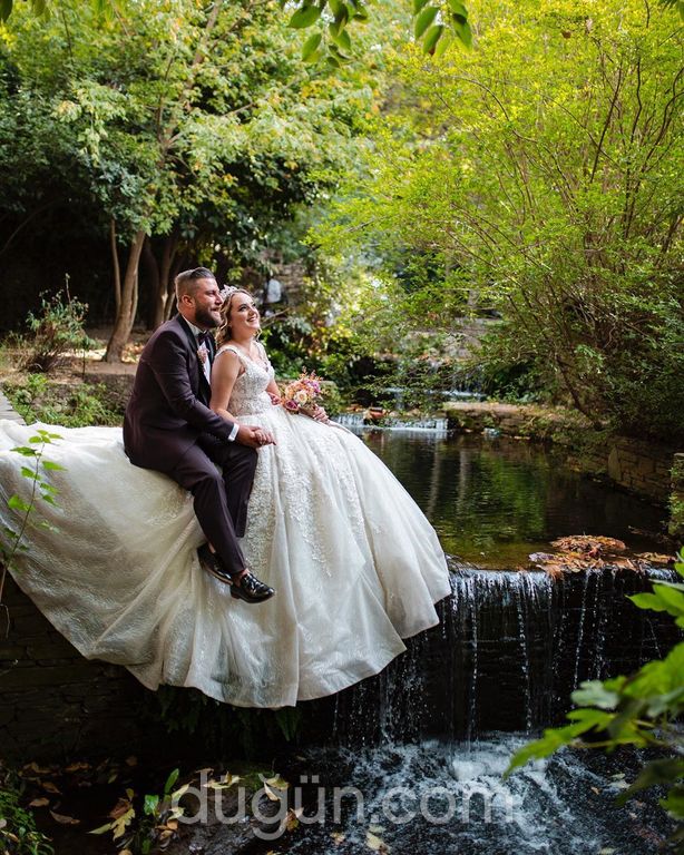 Gold Fotoğrafçılık