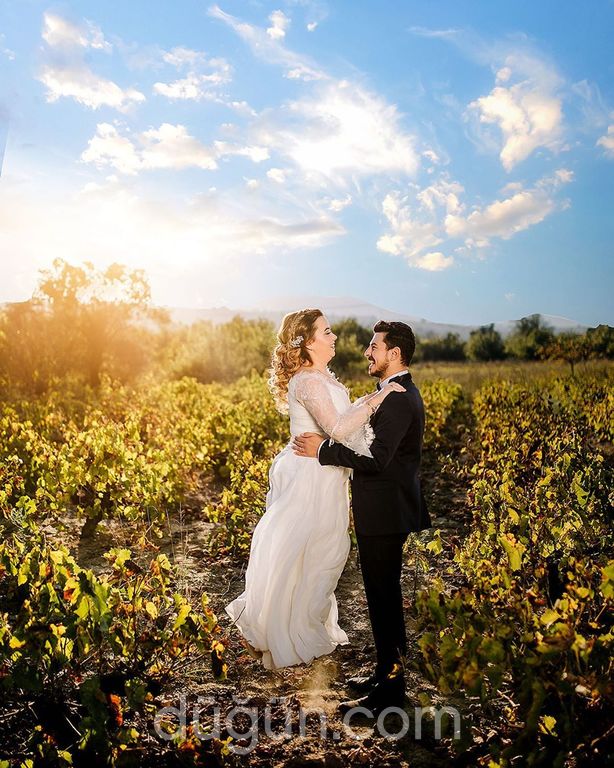 Gold Fotoğrafçılık