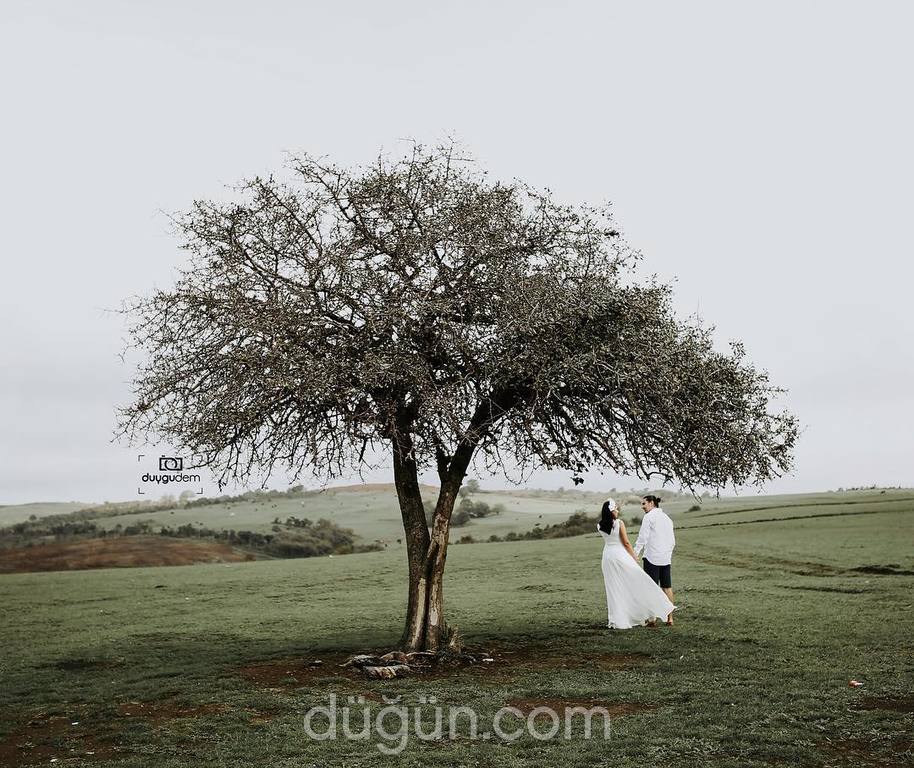 Duygu Dem