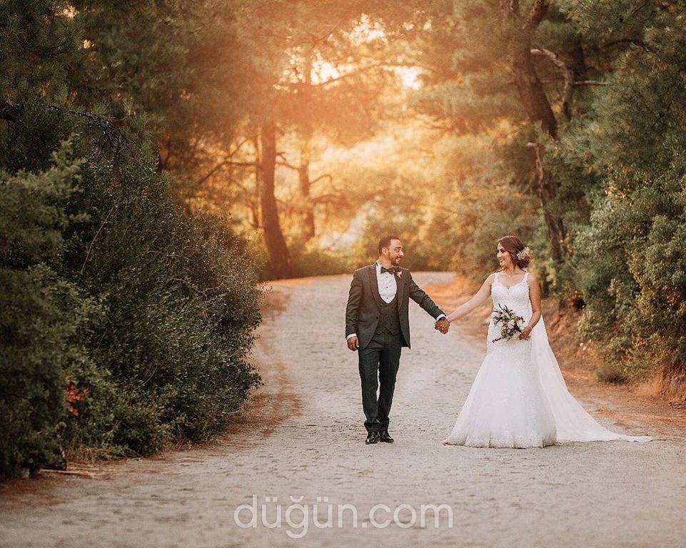 Mor Photography