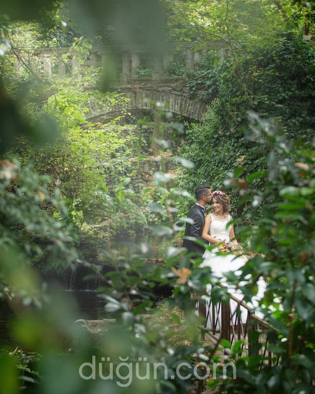 Ali Sak Wedding Photography