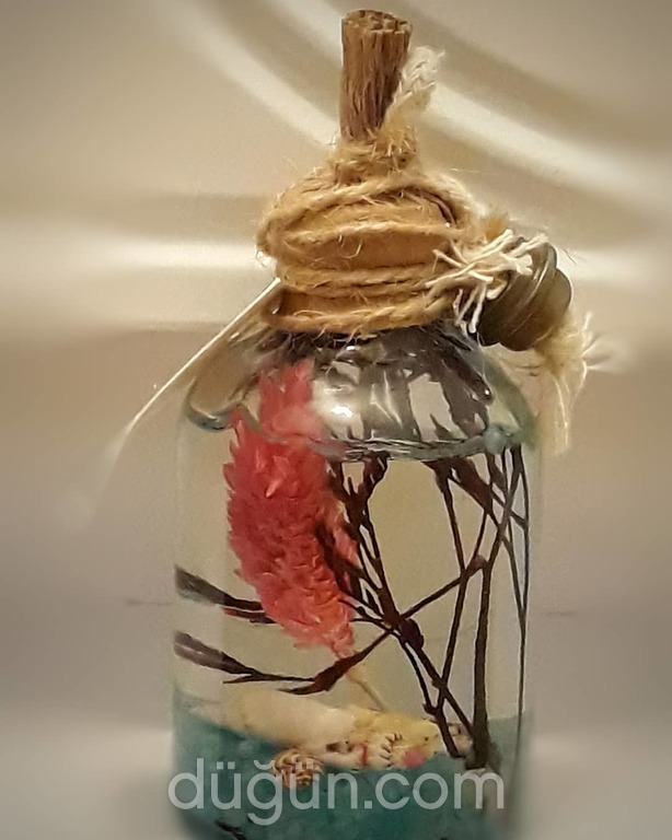 Sevgili Organizasyon