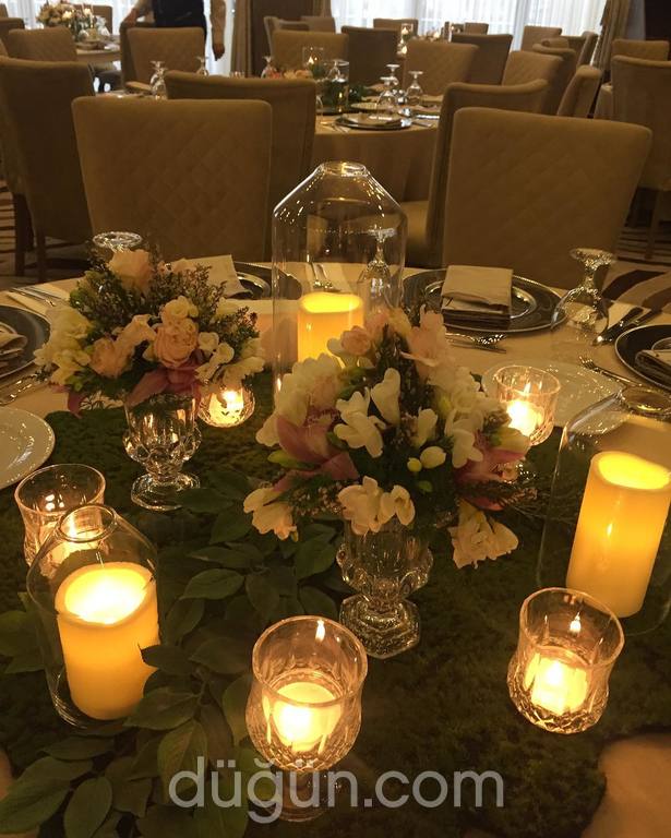 Su Global Organization