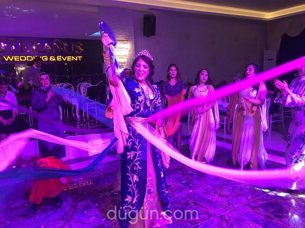 Alya Mina Organizasyon