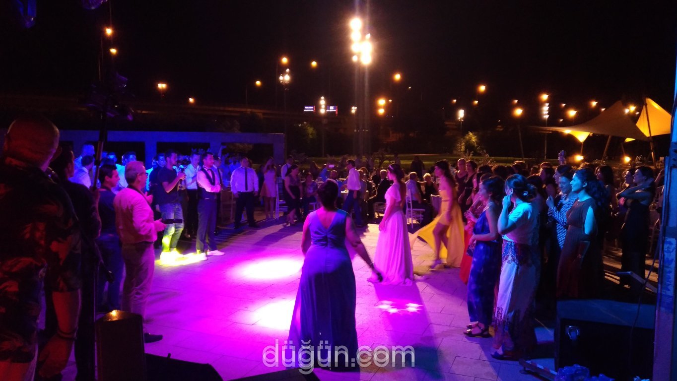 Albatros Orkestrası