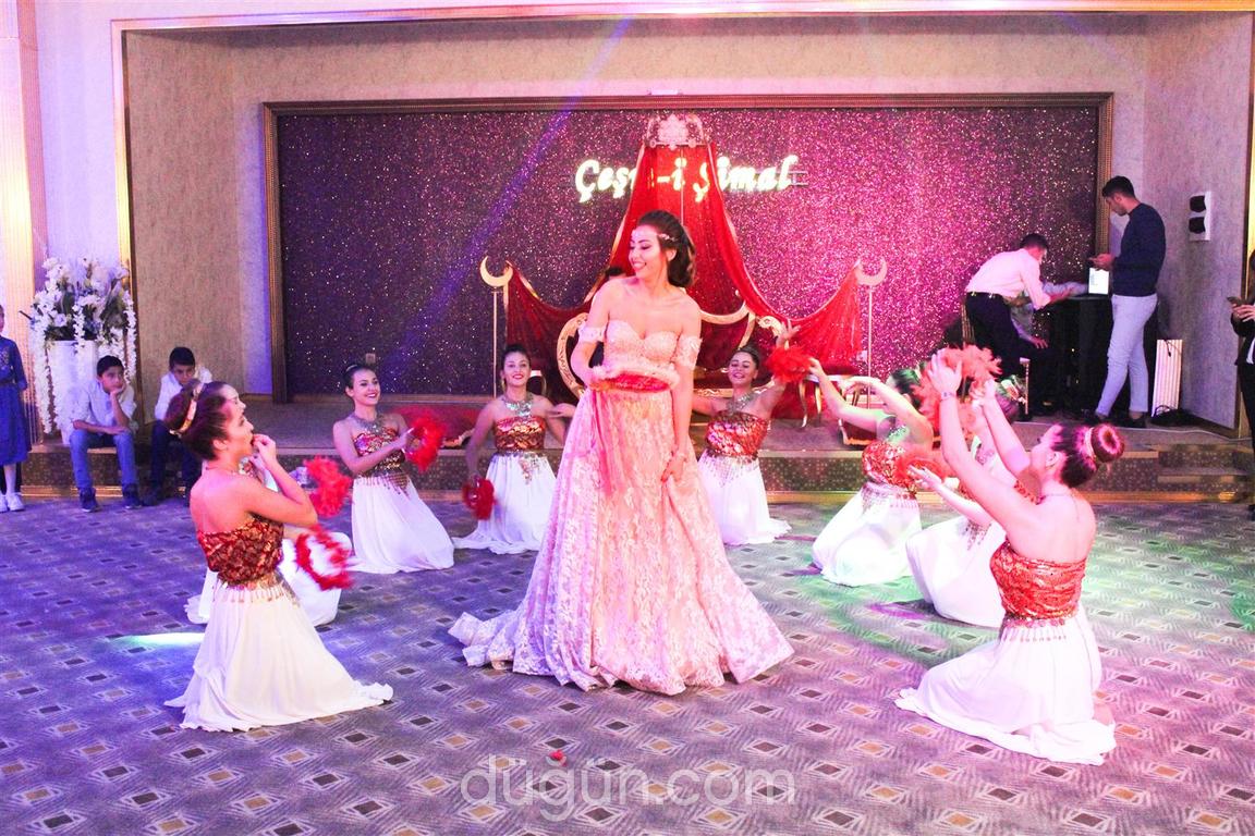 Sista Organizasyon