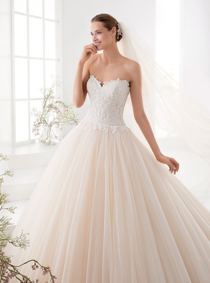 Dantelle- Nicole Spose AUAB18919