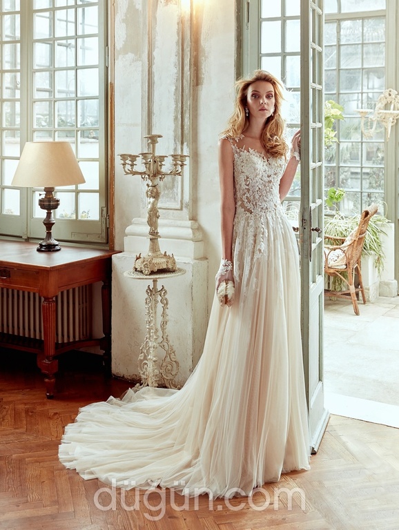 Dantelle- Nicole Spose NIAB17080 - 1