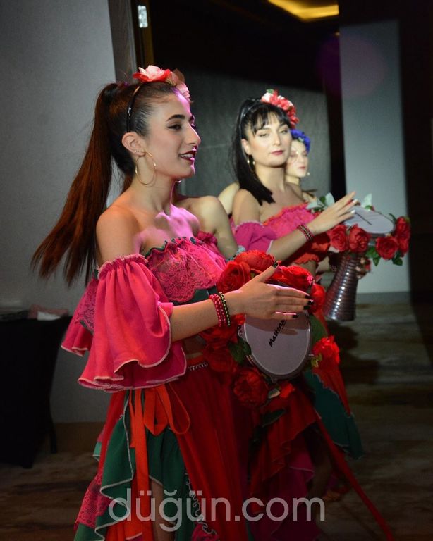 Senfoni Organizasyon