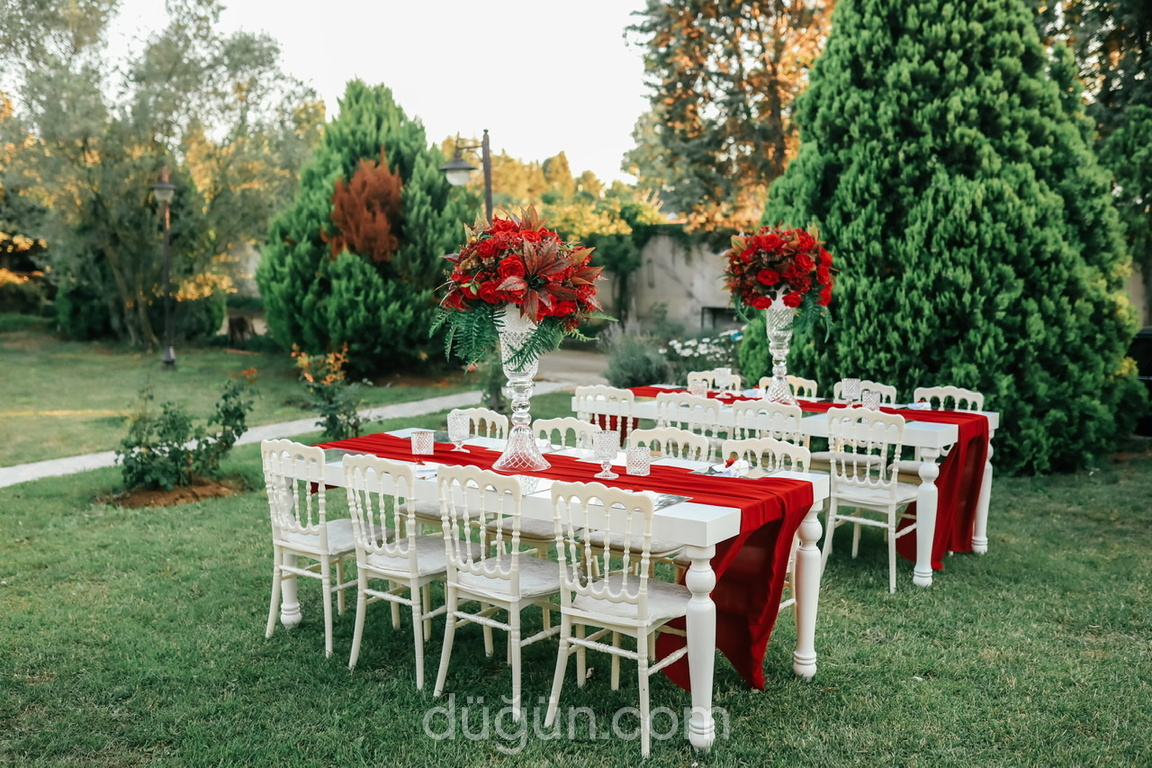 Hilal Güney Organizasyon